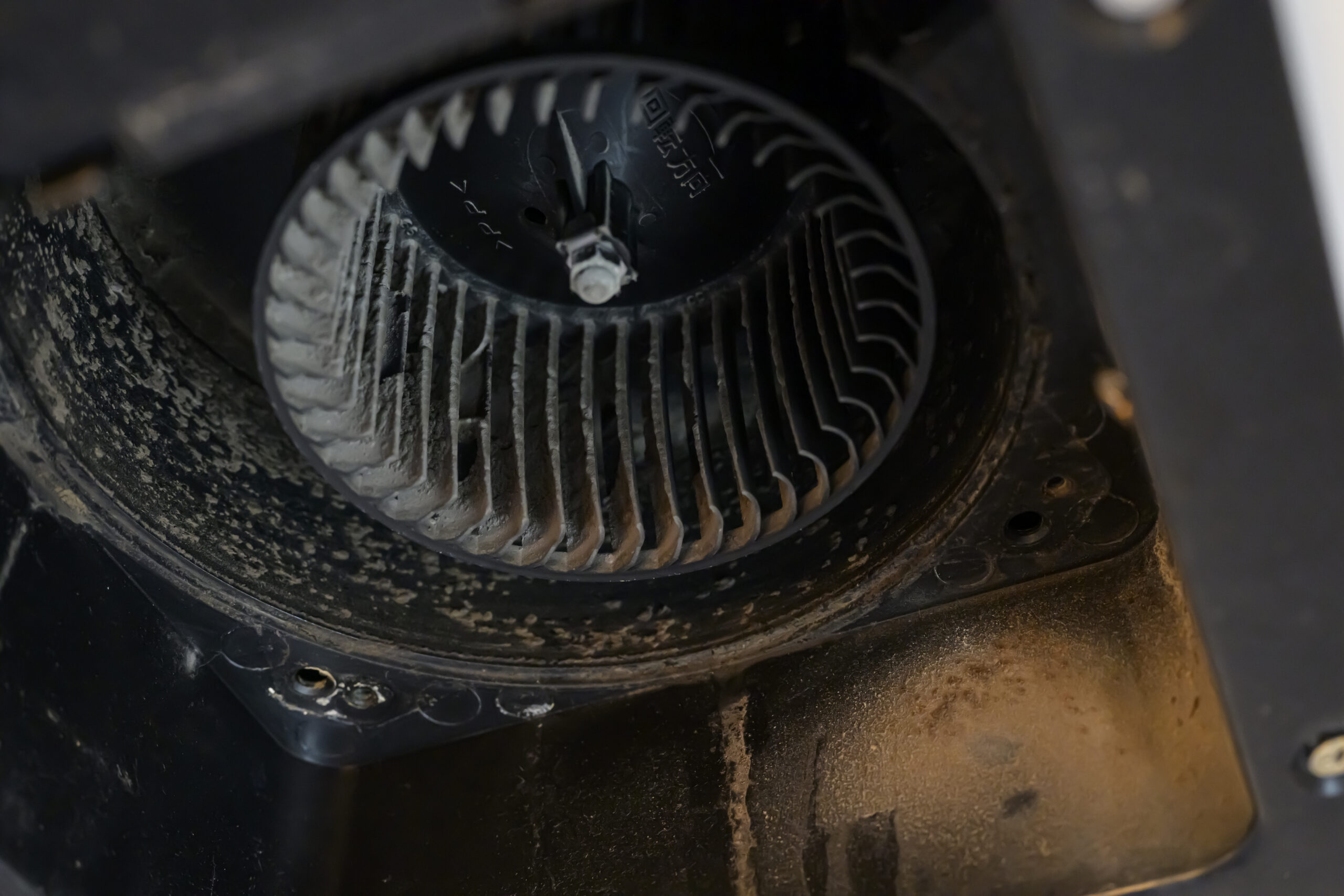 専門スタッフによる安全・確実な作業